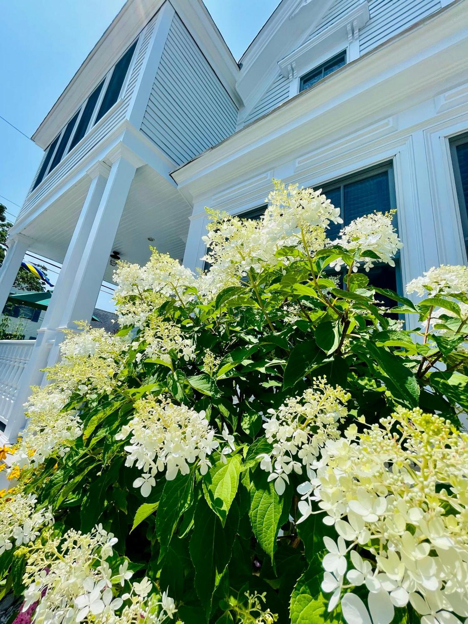 White Porch Inn Provincetown Zewnętrze zdjęcie