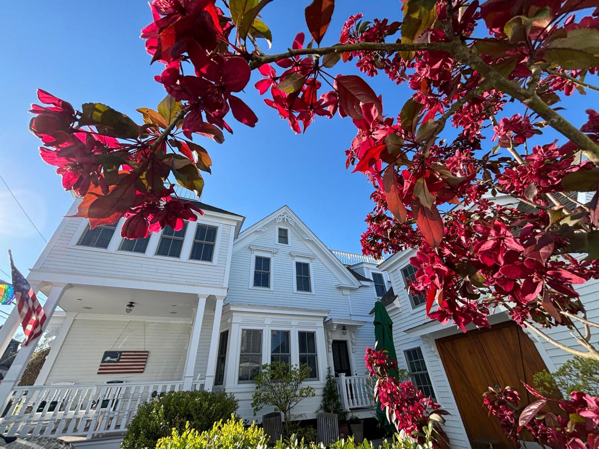 White Porch Inn Provincetown Zewnętrze zdjęcie